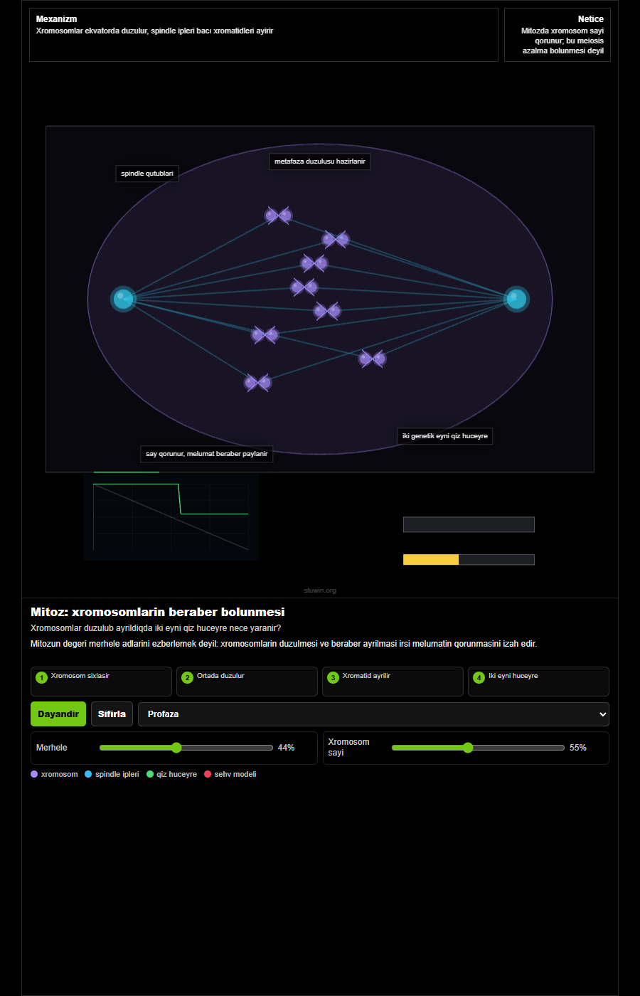 Mitosis chromosome stages animation thumbnail